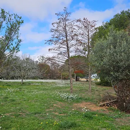 Villa Superbe Maison Premiere Ligne Etang